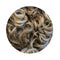 Sarah_Senior_Loose_Curl_Wig_number_10t/22_Medium_brown_hinted_mix_ash_blonde_highlights_idanceirish_jpeg