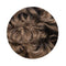 Caityln_Loose_Curl_Bun_Wig_irish_dancing_number_12_brown_jpeg_idanceirish