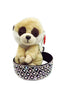 Beenie Boo and headband gift pack