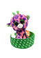 Beenie Boo and headband gift pack