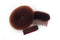 Doughnut_Hair_Shaper_long_wig_clips_Bun_Maker_pack_hair_style_brown/red_idanceirish_jpeg